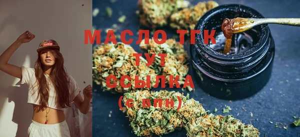 крисы Инсар