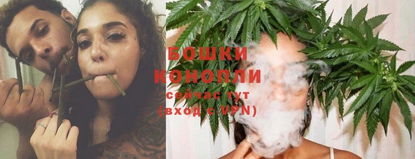 ECSTASY Иннополис