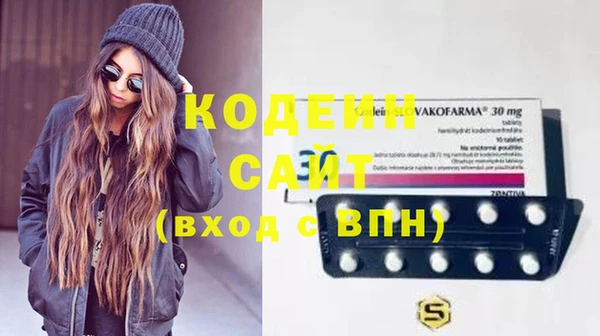 крисы Инсар