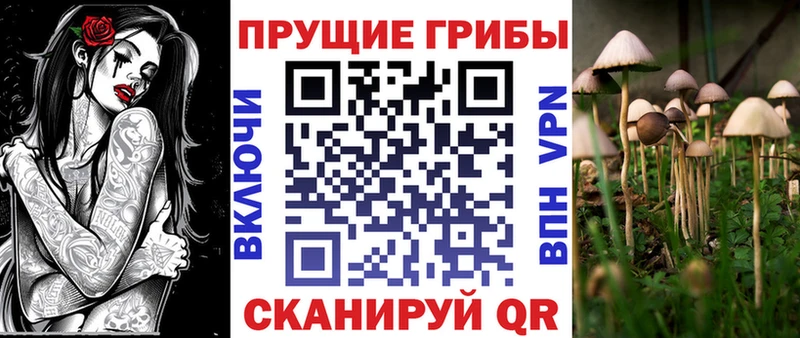 Купить закладки  Чебаркуль  Псилоцибиновые грибы прущие грибы 